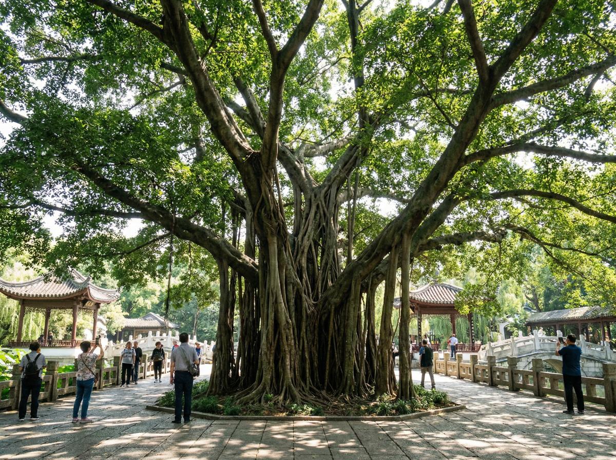 91社区顾问王雅琴